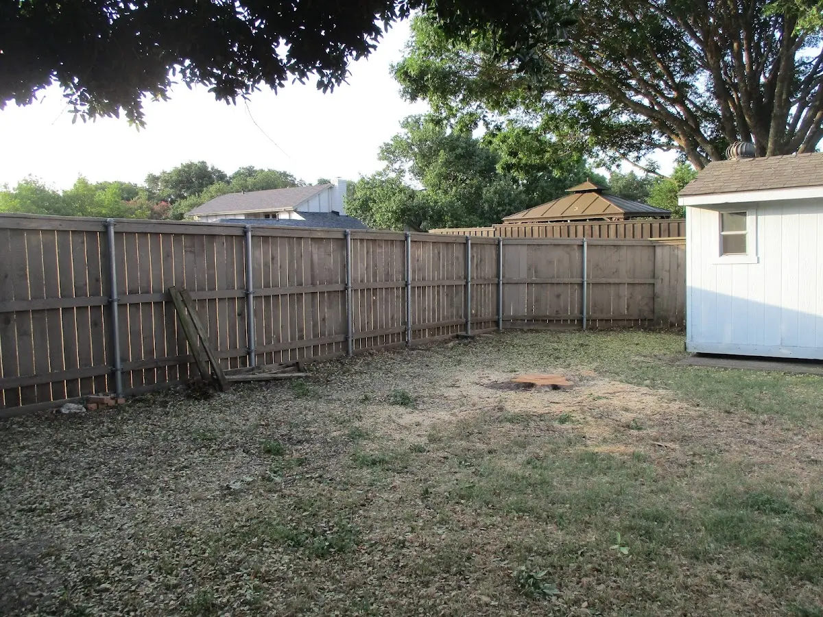 Cleared yard after professional tree removal in Tappan